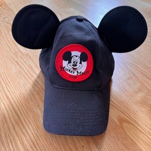 Disney Adult Hat